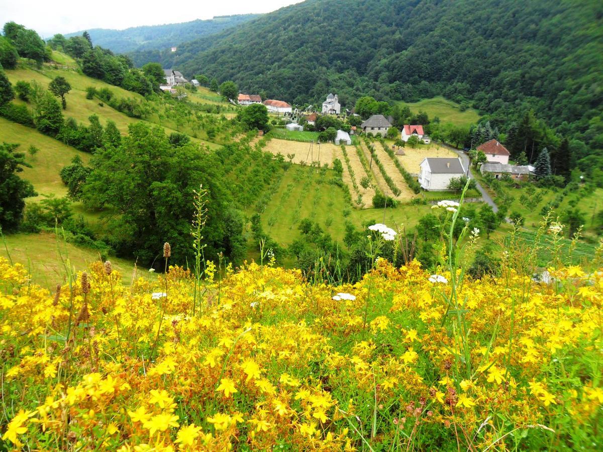 Kraljska Koliba - Kralje'S Cottage Andrijevica Eksteriør bilde