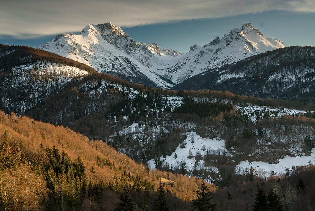 Kraljska Koliba - Kralje'S Cottage Andrijevica Eksteriør bilde