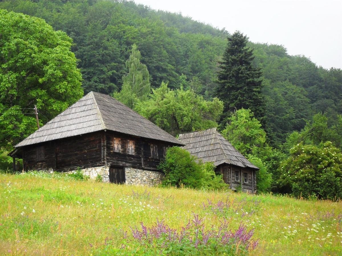 Kraljska Koliba - Kralje'S Cottage Andrijevica Eksteriør bilde