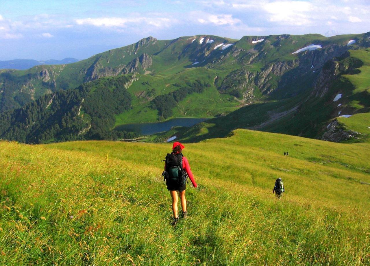 Kraljska Koliba - Kralje'S Cottage Andrijevica Eksteriør bilde